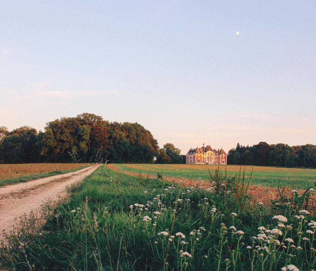 Chateau Du Domaine Du Reveillon Hotel Entrains-sur-Nohain Luaran gambar